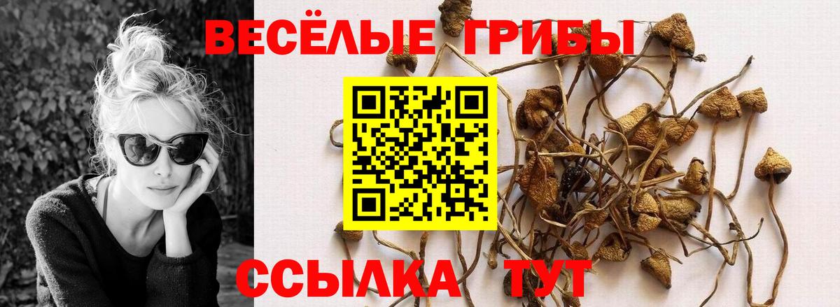 Псилоцибиновые грибы Magic Shrooms Нерюнгри