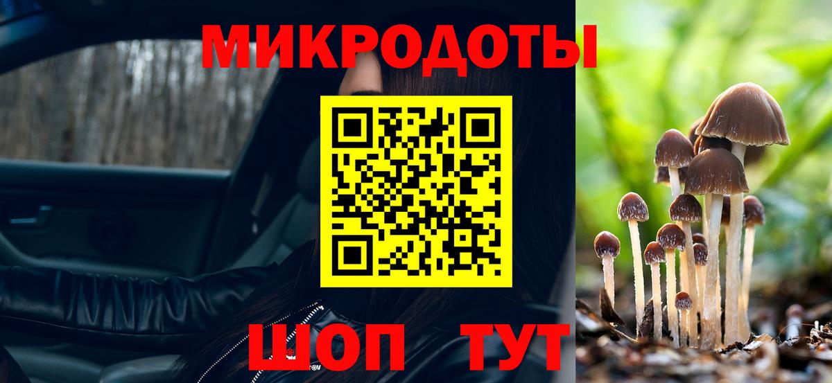 Псилоцибиновые грибы прущие грибы  Вход с VPN  Псилоцибиновые грибы Psilocybine cubensis  Нерюнгри 